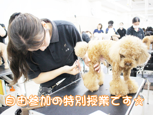 スキルアッププログラム♪